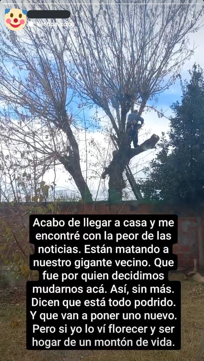 best of Casa vecino para traigo esta