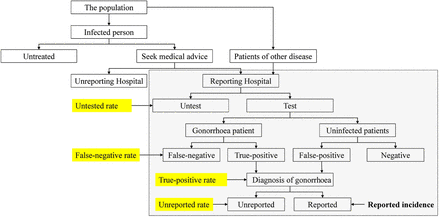 Venus reccomend transmission gonorrhea from hand