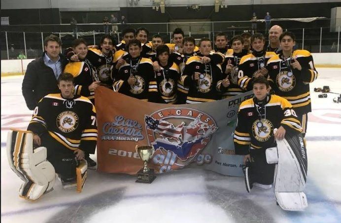 Sarnia sting midget